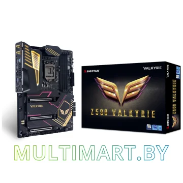 Материнская плата BIOSTAR Z590 Valkyrie Ver. 5.0 картинка 5